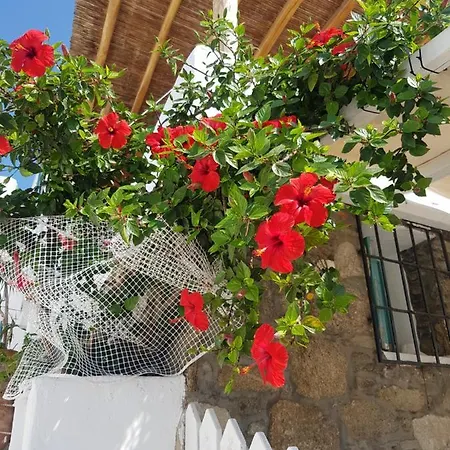 Feriehus Hibiscus Rosa Mykonos