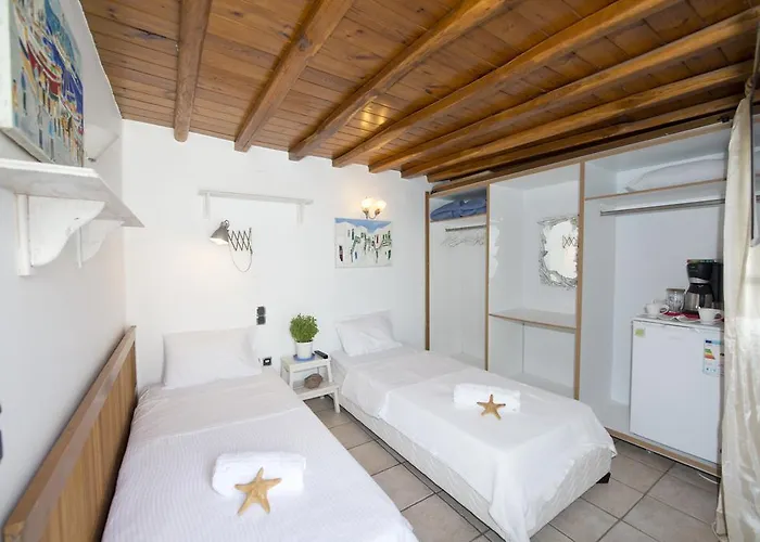 Hibiscus Rosa Mykonos Mykonos Town